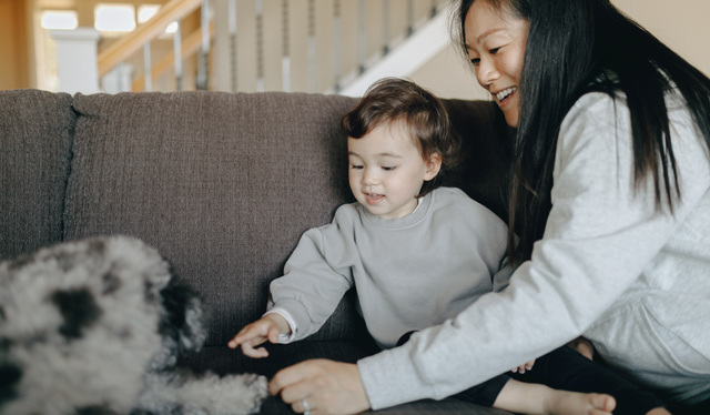 Woman And Son Playing With Dog On Couch