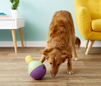 Starmark Treat Dispensing Bob-a-Lot dog toy