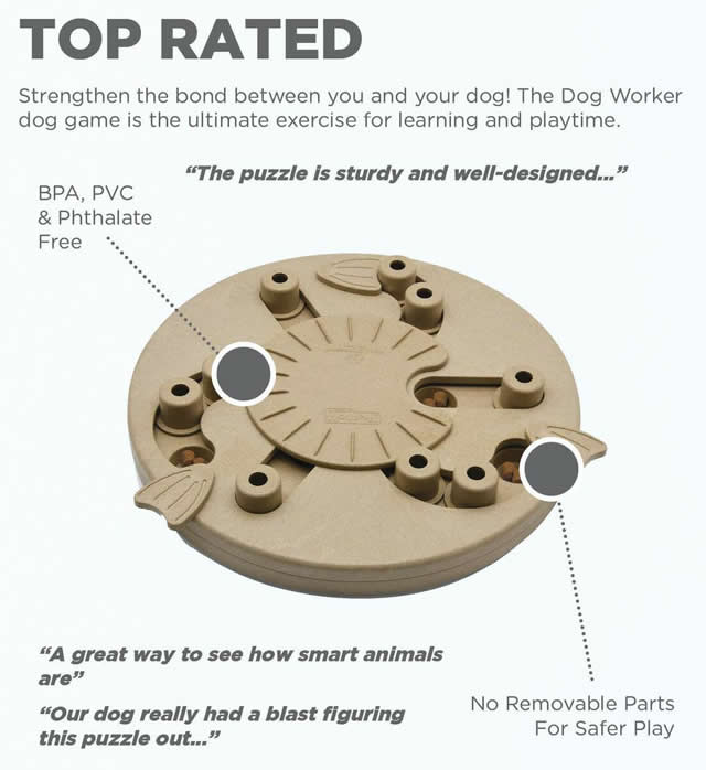 top-rated infographic of an Outward Hound Worker Composite Puzzle