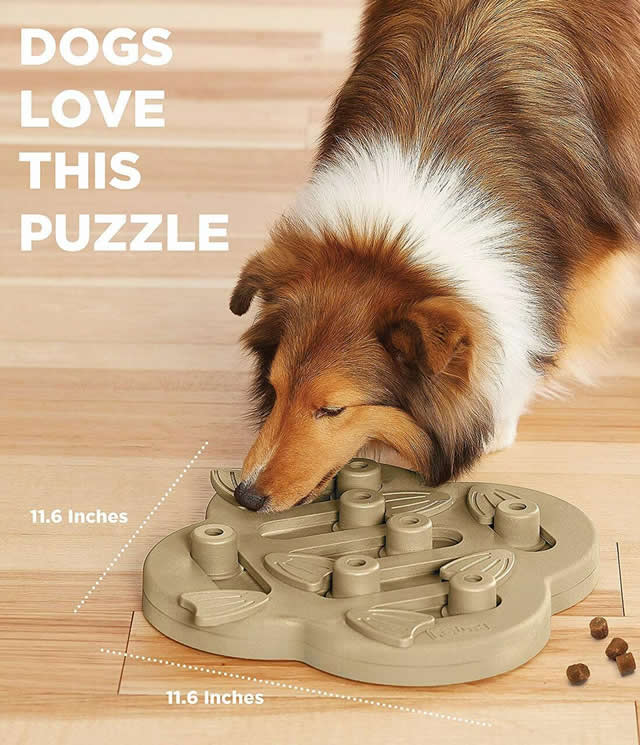 dog playing with Hide N' Slide Interactive Treat puzzle