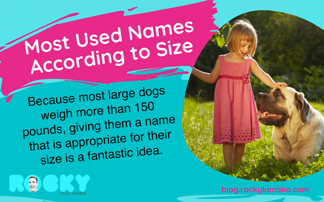 popular dog names for big dogs