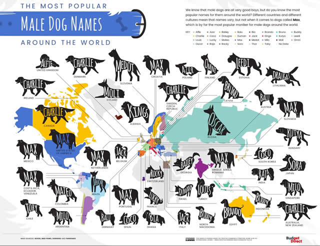 popular dog names for male dogs
