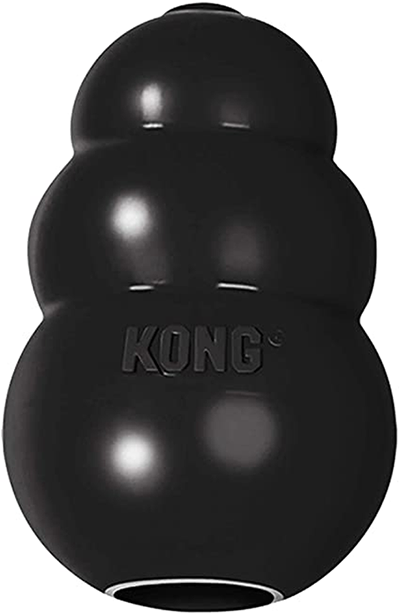 Kong, an interactive and indestructible dog toy