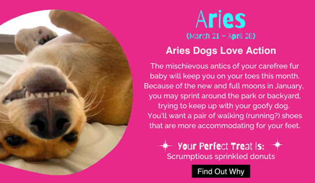 Aries horoscope