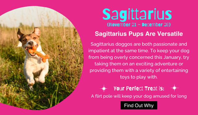Sagittarius horoscope