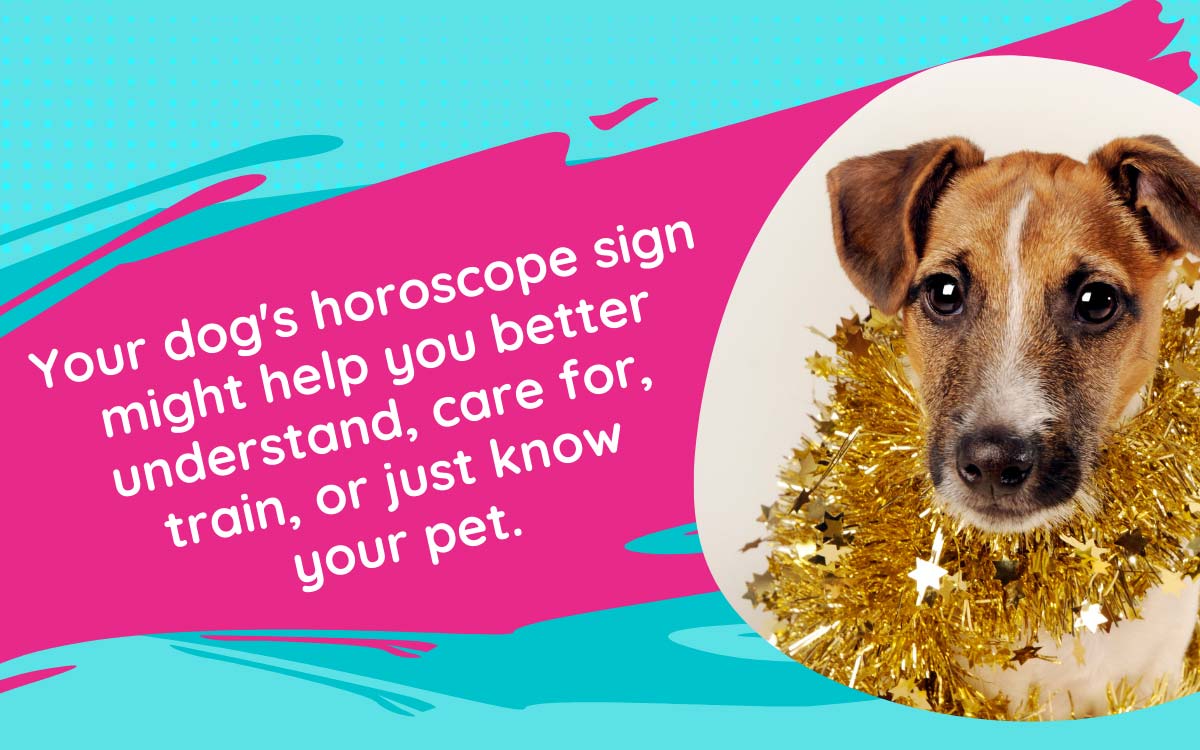 Your dog horoscope
