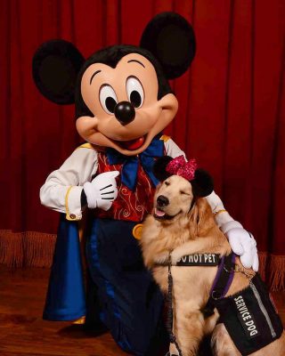 Nala, the service dog, with mickey mouse