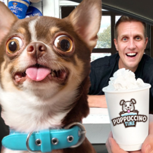 my puppuccino drive-through for dogs