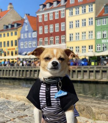 Jonathan in Amsterdam. He's definitely the best dog for travel