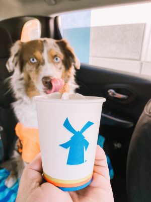 are pup cups safe for dogs