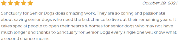 review of the Sanctuary for Senior Dogs