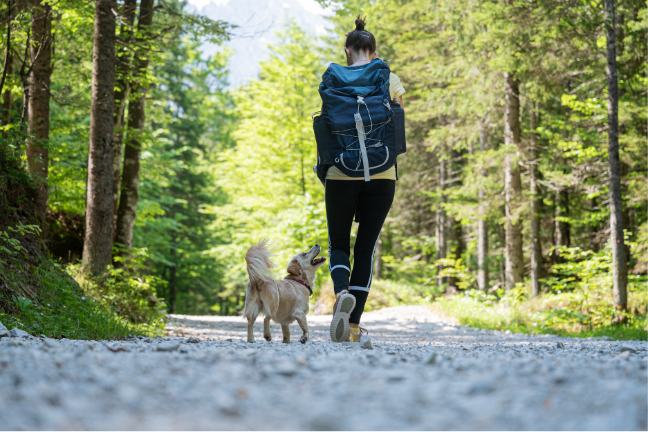 dog hiking with human