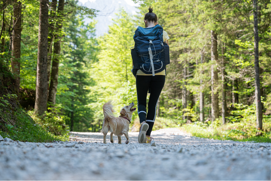 The Best Bags To Carry Your Dog In This Summer — No Matter How Big