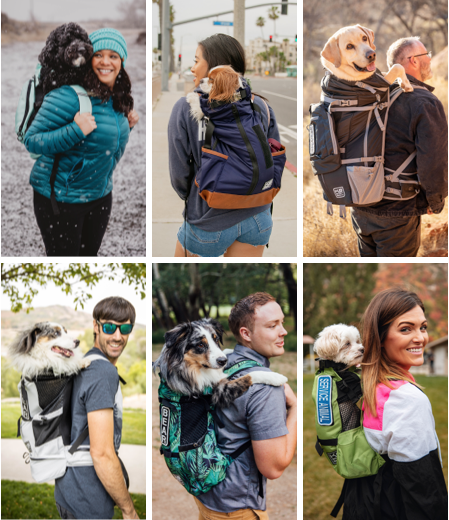 different kinds of dogs in backpacks