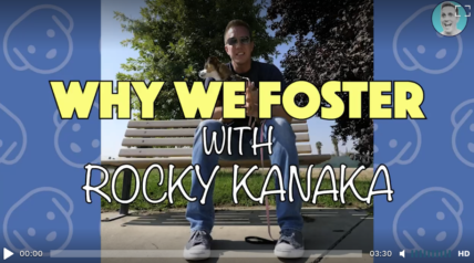 why we foster with rocky kanaka