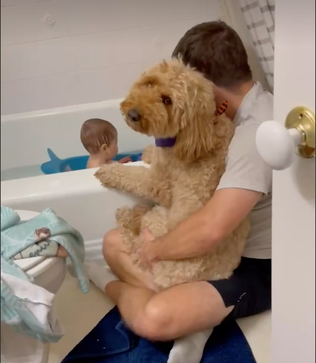 Bentley in the bath with family