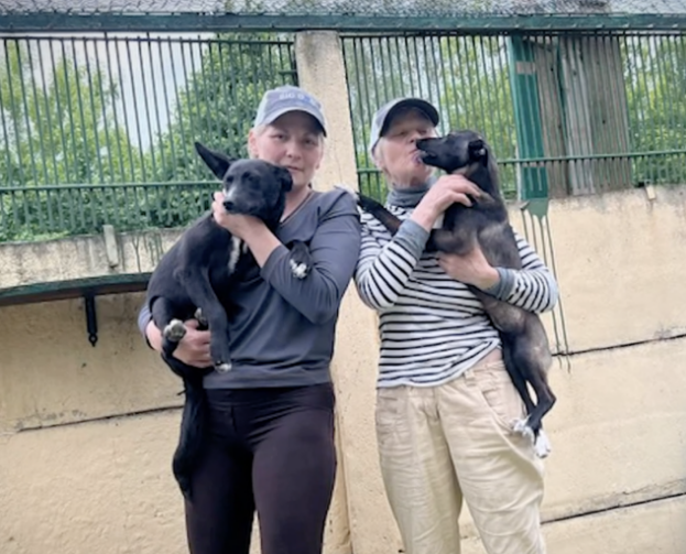 2 refugees transported dogs without money