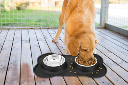 The Best No-Spill Dog Water Bowls