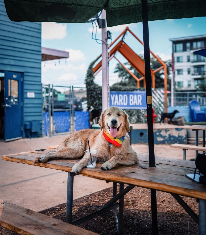Yard Bar - - Dog Friendly Restaurants in Austin