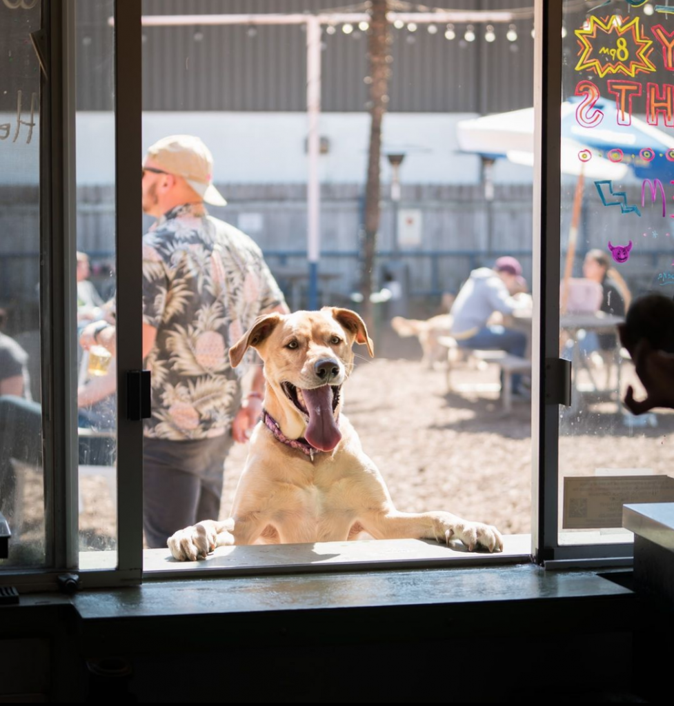 Yard Bar - Dog Friendly Restaurants in Austin