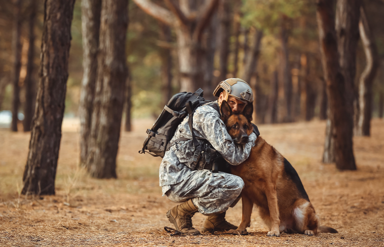 A veteran with service dog