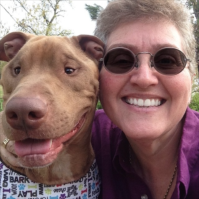 Destiny, the Skinny, Nameless Pit Bull and Sherry her new owner