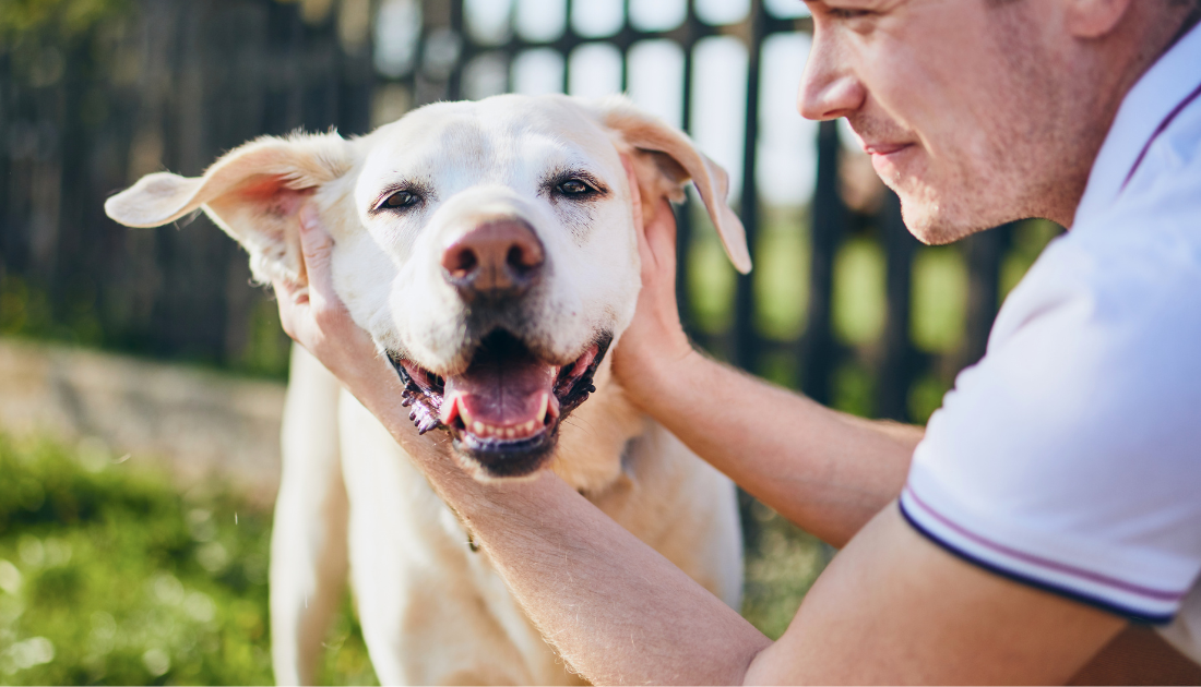 This One Thing Will Extend Your Dog's Life for 3 Years, Yet Most People