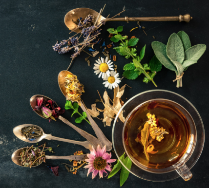 20 All-Natural Remedies to Soothe your Dog's Itchy Skin - Rocky Kanaka