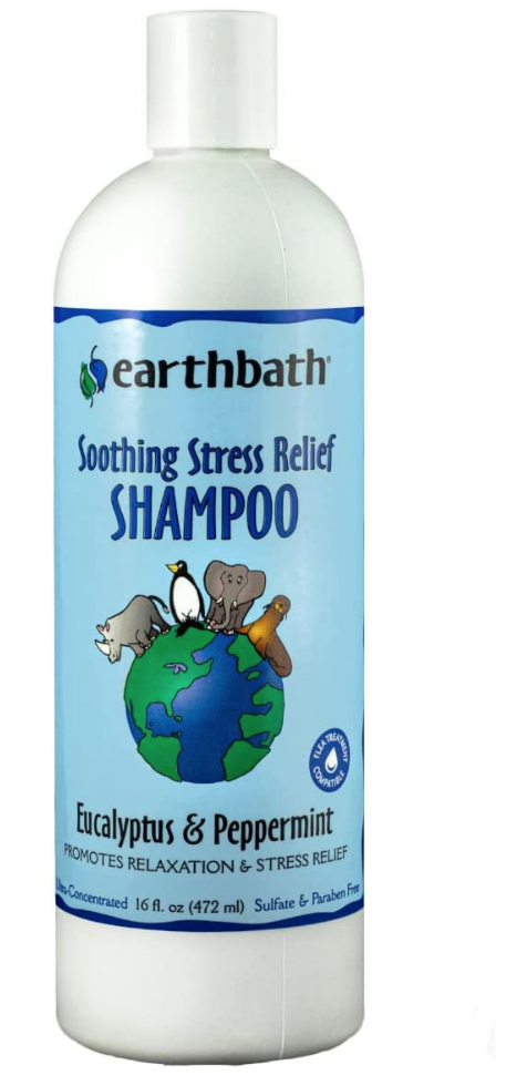 eucalyptus  shampoo 