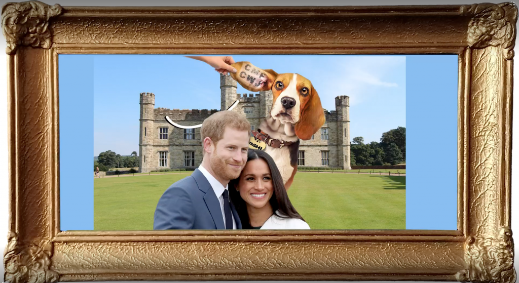 Megan Markle and Prince Harry's dog
