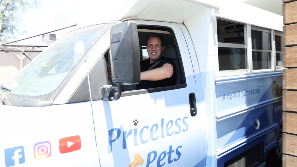 Rocky in Priceless Pet van