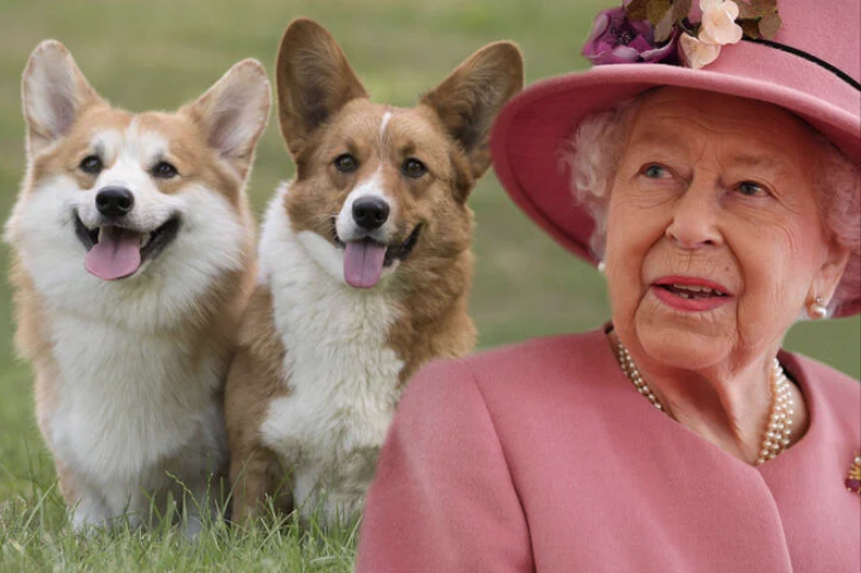 Queen Elizabeth II and her Corgis