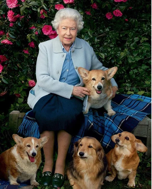Queen Elizabeth II and her dogs