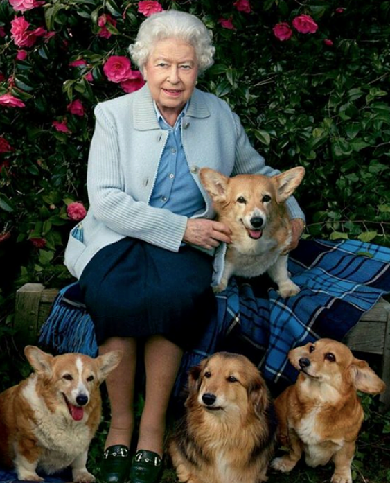 Queen Elizabeth II and her corgis