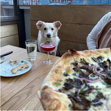 Dog-Friendly Restaurants: San Francisco
