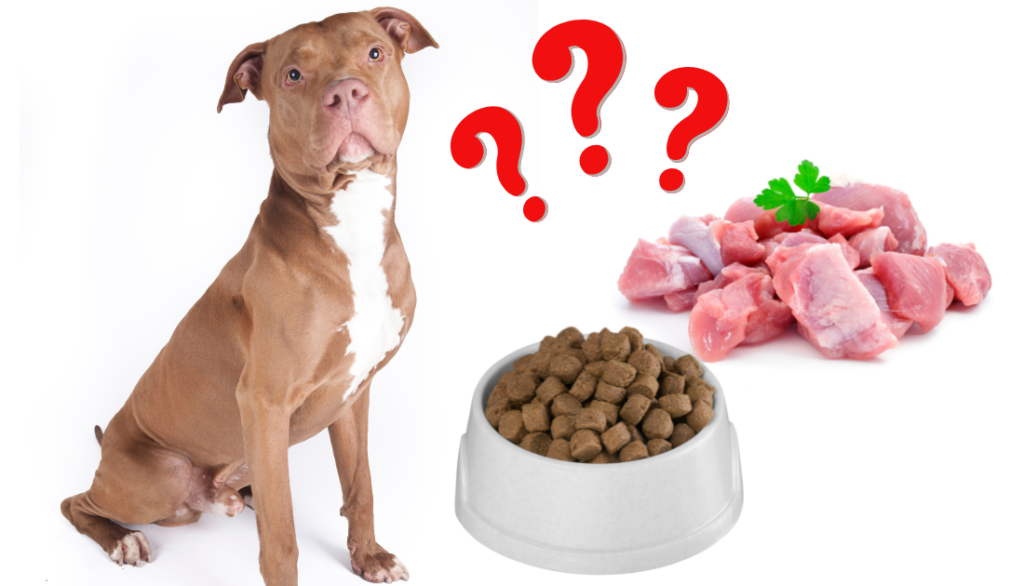 What is Best Dog Food for Pitbulls