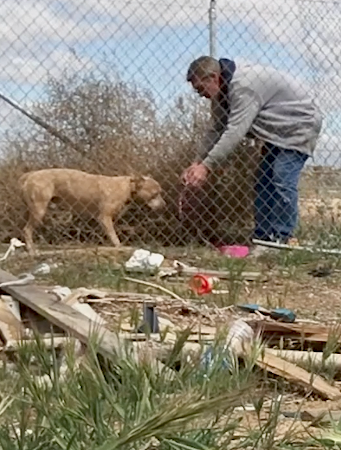 Rescuer try to rescue Pit Bull Abandoned at Truck Stop