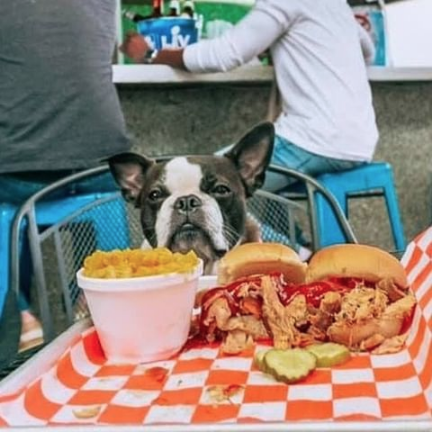 Dog-Friendly Restaurants in Charleston, SC