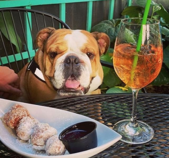 Dog-Friendly Restaurants in Charleston, SC