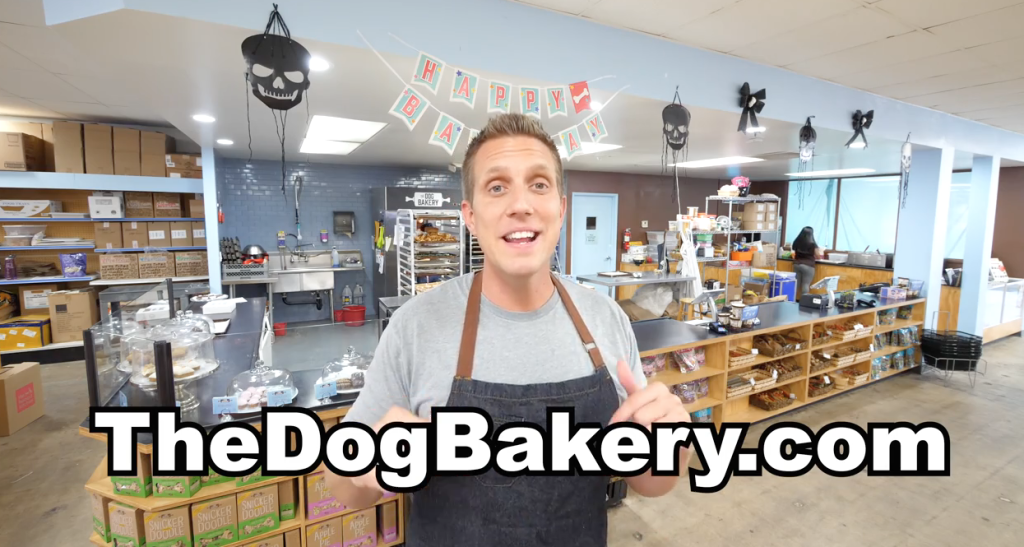 Rocky at the dog bakery