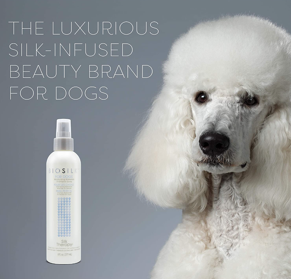 dry shampoo for dogs to manage The Dreaded Poopy Butt Syndrome easier