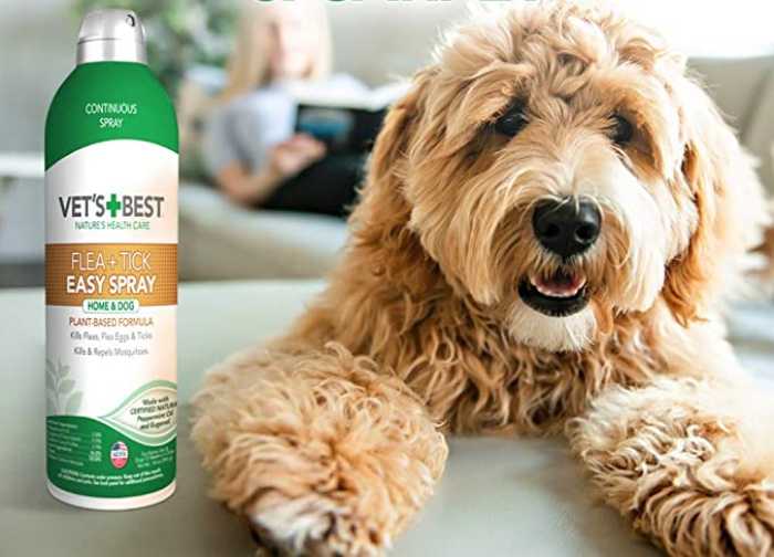 Flea protection spray - Dog Has Red, Itchy Skin & Bumps
