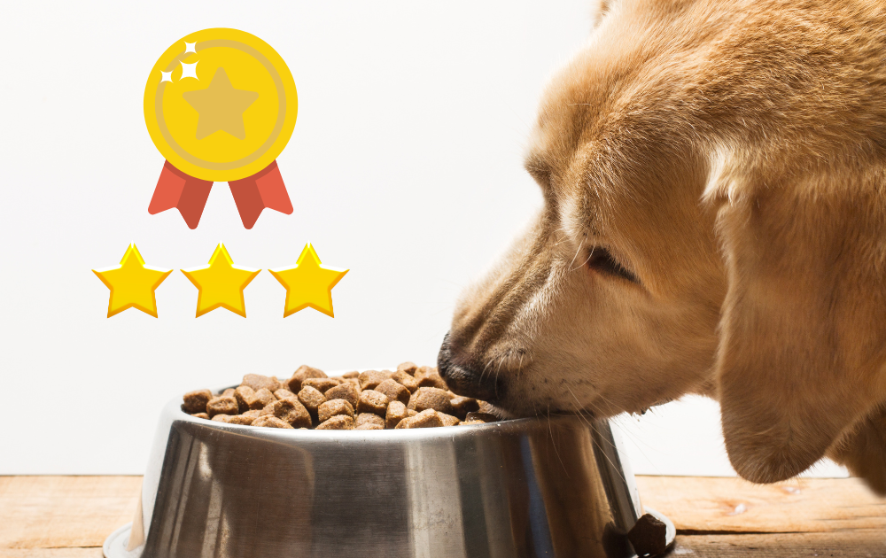 Top 4 Biologically Appropriate Dog Foods for Golden Retrievers