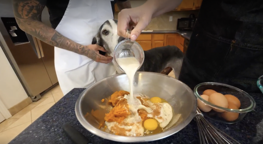 Barksgiving Pumpkin Pie for Dogs Recipe