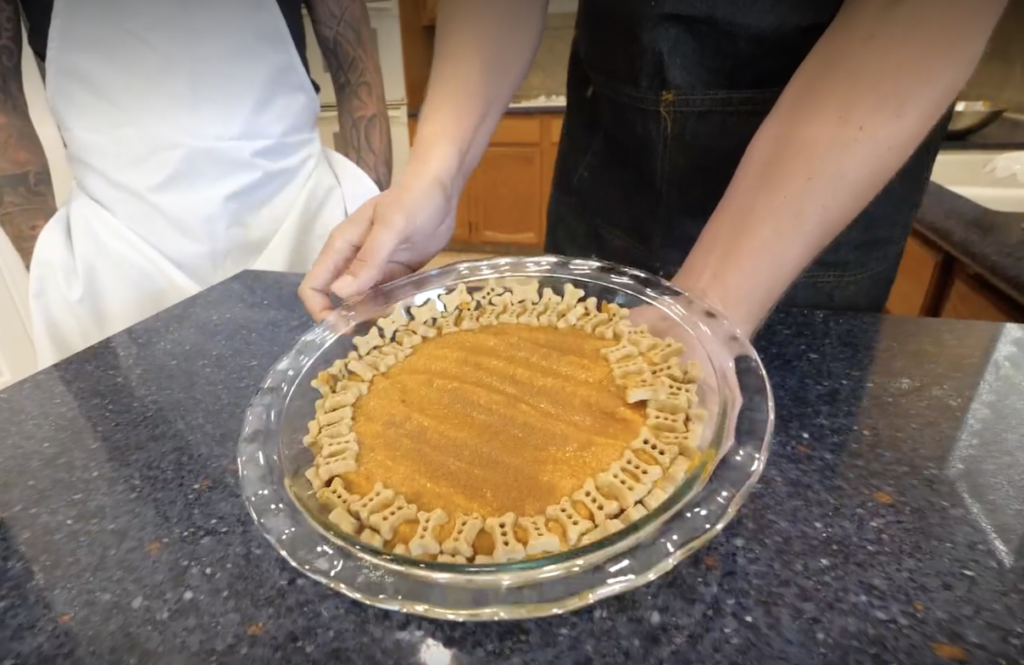 Barksgiving Pumpkin Pie for Dogs Recipe