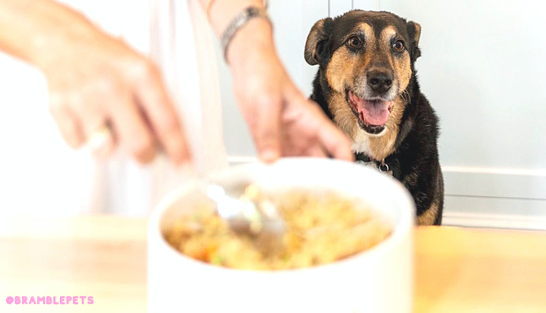 Homemade Vegan Dog Food – mrsplantintexas