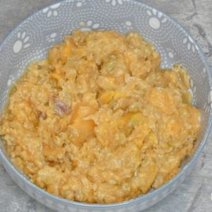 Meatless Homemade Dog Food with Peanut Butter