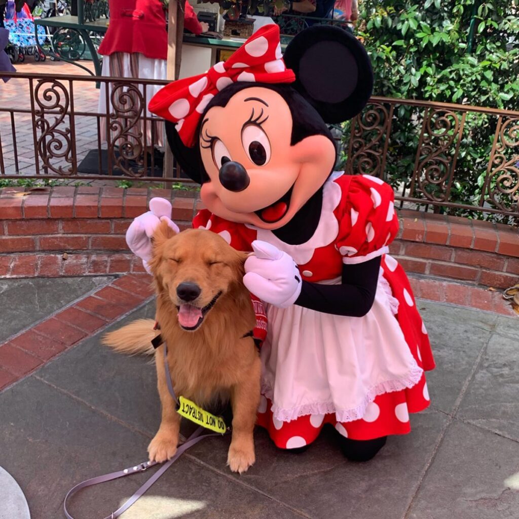 This Service Dog Loves Pluto