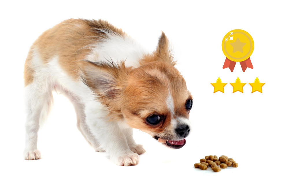 Best Dog Foods for Miniature Schnauzers in 2022 • Spot & Tango