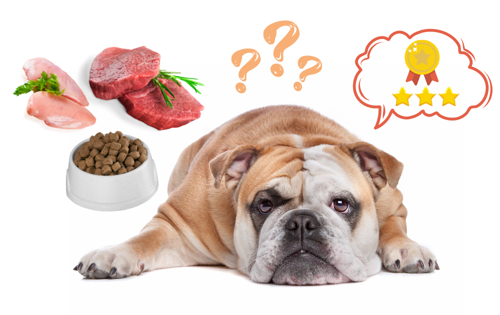  What are Best Dog Foods for English Bulldogs?